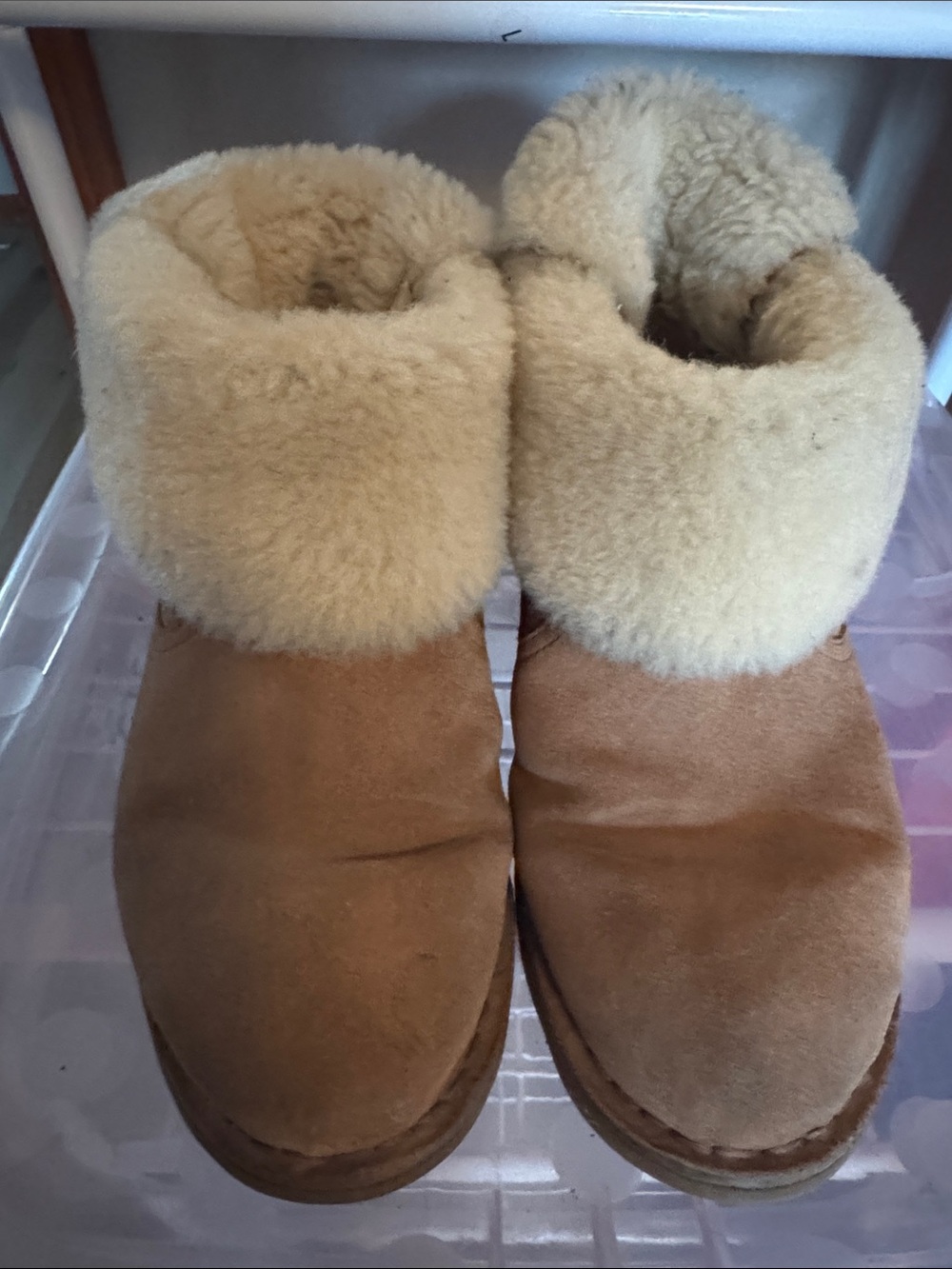 UGG Women's Short Sheepskin Booties in Chestnut with Cream Cuff